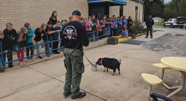 Sangamon County Deputy Sheriff Drew Dickason and his pet pot-belly pig Ellie Mae finding cannabis under a can at Tri-City Elementary School in Buffalo, Illinois.