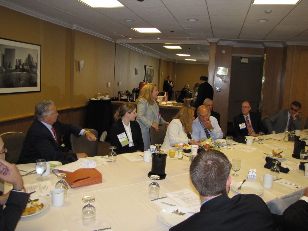 Laurel Bellows (standing center) addresses the Illinois delegation