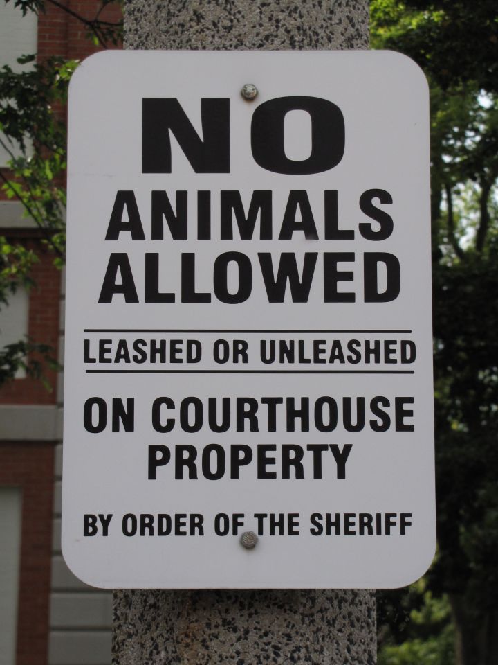 The courthouse grounds are not for dog walkers.