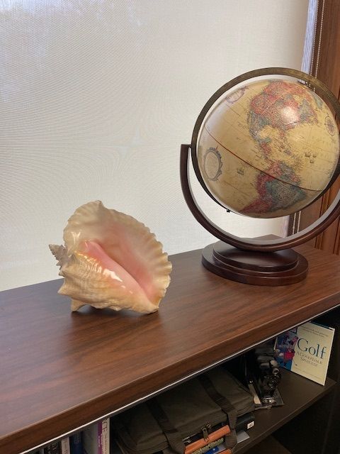 Kevin Busch: "I acquired this beautiful Conch shell my senior year of high school while snorkeling in the warm turquoise waters of Montego Bay, Jamacia. I plucked the living creature from the seabed and returned to our villa, where we cleaned it and enjoyed fresh Conch fritters with our dinner. The shell now sits in my chambers, a reminder of those carefree days. I don't blow it to open court, nor do I require counsel to hold it while speaking. Yet its literary significance is not lost on me as a symbol of democracy and order - a true prized possession."