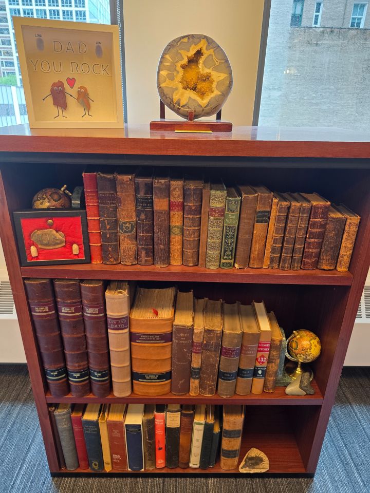 Glenn Guttman: "History preserves triumphs and failures, offering lessons in resilience, power and ethics. History influences identity, values and guides society through change and conflict. These items are reflective of how my human character has been influenced by history from rocks formed when the earth was created, through my kid's artwork presented on Father’s Day. My photograph is a glimpse of the lineage of the nature of life and my personal dedication to law that has evolved from prior to my existence and how it will evolve through my life and into the future for posterity."