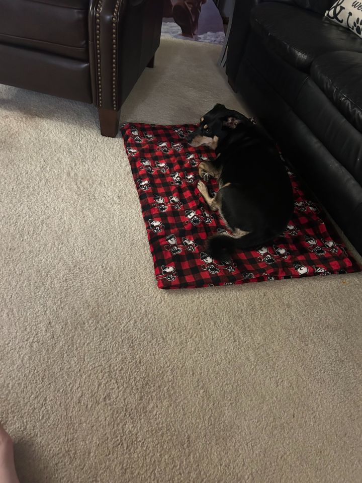 Stephanie Liebermann: "Best office assistant ever, she rocks!"