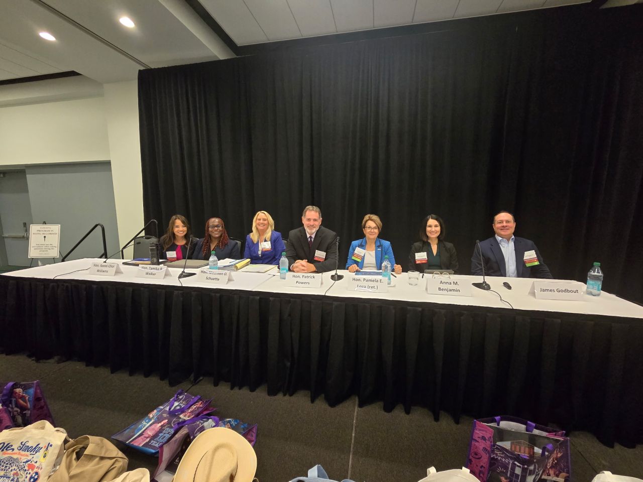 Hon. Sonni Choi Williams, Hon. Tamika R. Walker, Hon. Maureen D. Schuette, Hon. Patrick J. Powers, Hon. Pamela E. Loza (ret.), Anna M. Benjamin, and James Godbout