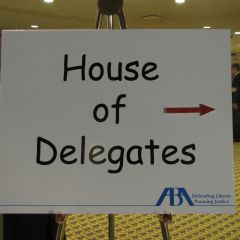 The Illinois delegation heads to the House of Delegates