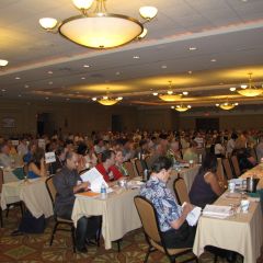 Going over the 2009 ISBA budget