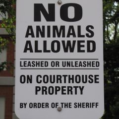 The courthouse grounds are not for dog walkers.