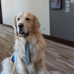 PAWS for a Break with Paw Print Ministries 