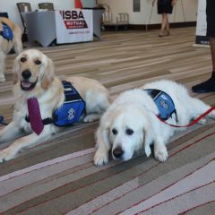 PAWS for a Break with Paw Print Ministries 