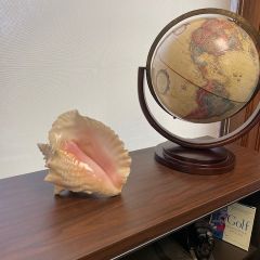 Kevin Busch: "I acquired this beautiful Conch shell my senior year of high school while snorkeling in the warm turquoise waters of Montego Bay, Jamacia. I plucked the living creature from the seabed and returned to our villa, where we cleaned it and enjoyed fresh Conch fritters with our dinner. The shell now sits in my chambers, a reminder of those carefree days. I don't blow it to open court, nor do I require counsel to hold it while speaking. Yet its literary significance is not lost on me as a symbol of democracy and order - a true prized possession."