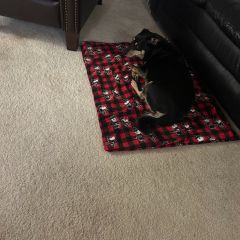 Stephanie Liebermann: "Best office assistant ever, she rocks!"